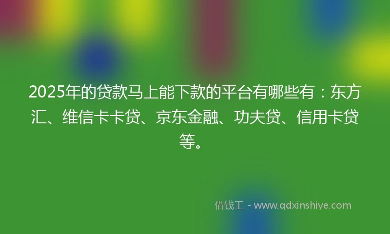 2025年的贷款马上能下款的平台有哪些有:东方汇、维信卡卡贷、京东金融、功夫贷、信用卡贷等。