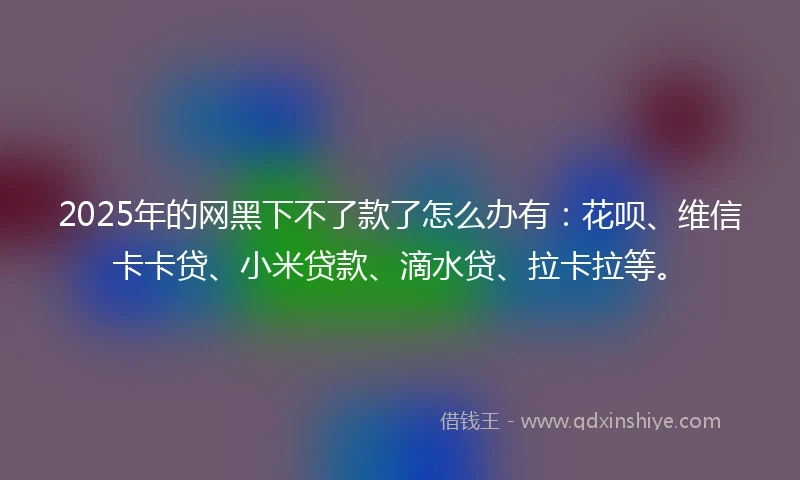 2025年的网黑下不了款了怎么办有：花呗、维信卡卡贷、小米贷款、滴水贷、拉卡拉等。