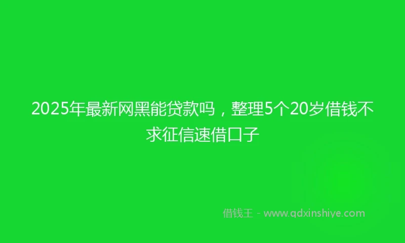 2025年最新网黑能贷款吗，整理5个20岁借钱不求征信速借口子
