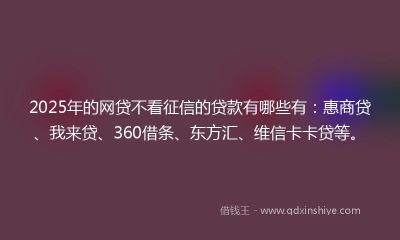 2025年的网贷不看征信的贷款有哪些有：惠商贷、我来贷、360借条、东方汇、维信卡卡贷等。