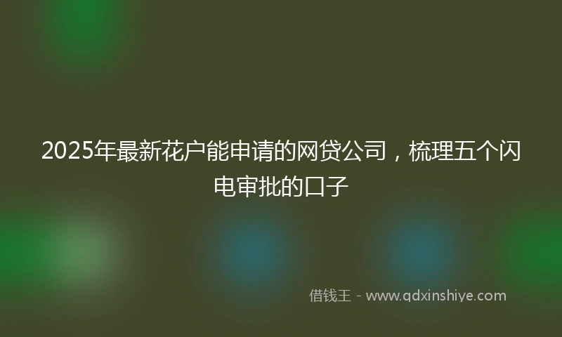2025年最新花户能申请的网贷公司，梳理五个闪电审批的口子