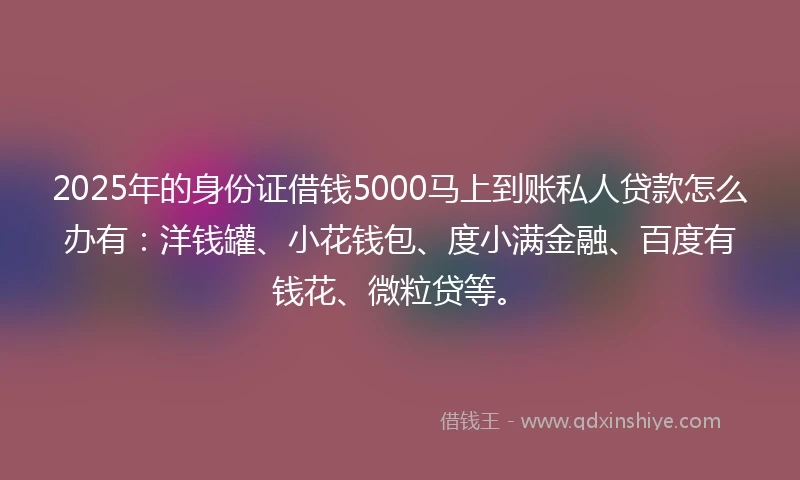 2025年的身份证借钱5000马上到账私人贷款怎么办有：洋钱罐、小花钱包、度小满金融、百度有钱花、微粒贷等。