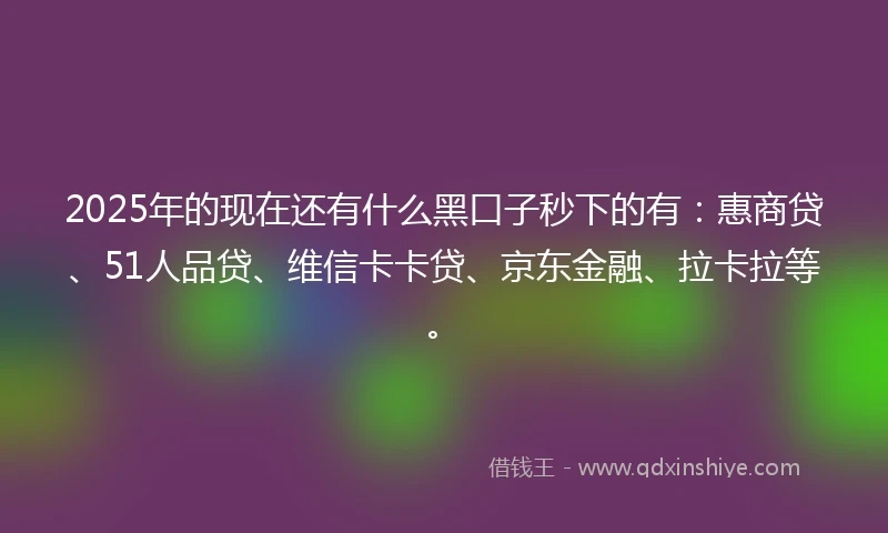 2025年的现在还有什么黑口子秒下的有：惠商贷、51人品贷、维信卡卡贷、京东金融、拉卡拉等。