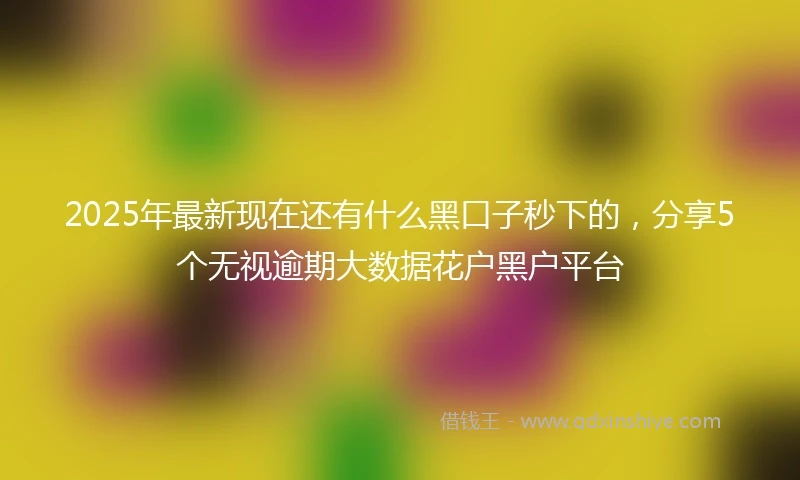2025年最新现在还有什么黑口子秒下的，分享5个无视逾期大数据花户黑户平台