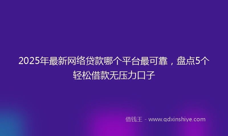 2025年最新网络贷款哪个平台最可靠，盘点5个轻松借款无压力口子