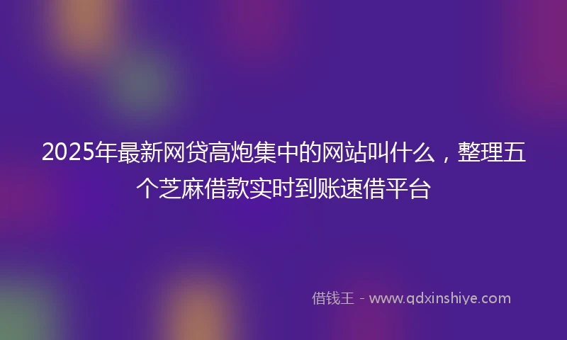 2025年最新网贷高炮集中的网站叫什么,整理五个芝麻借款实时到账速借平台