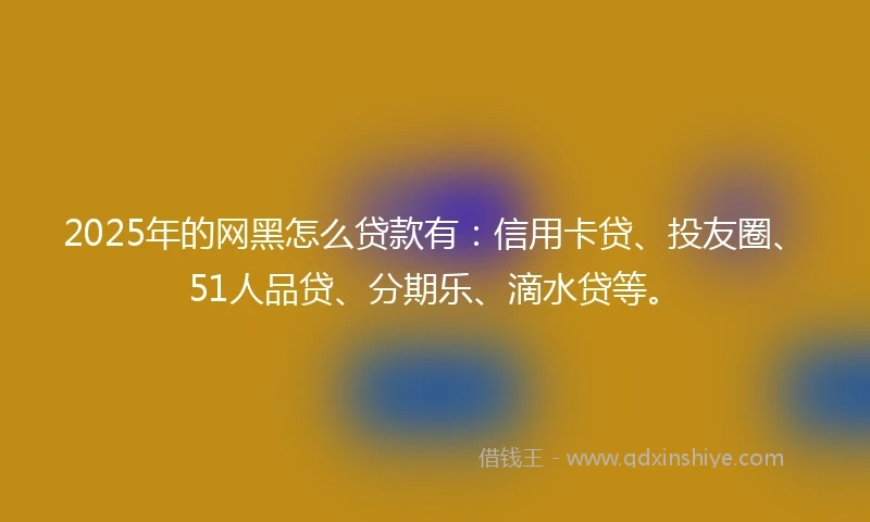 2025年的网黑怎么贷款有：信用卡贷、投友圈、51人品贷、分期乐、滴水贷等。
