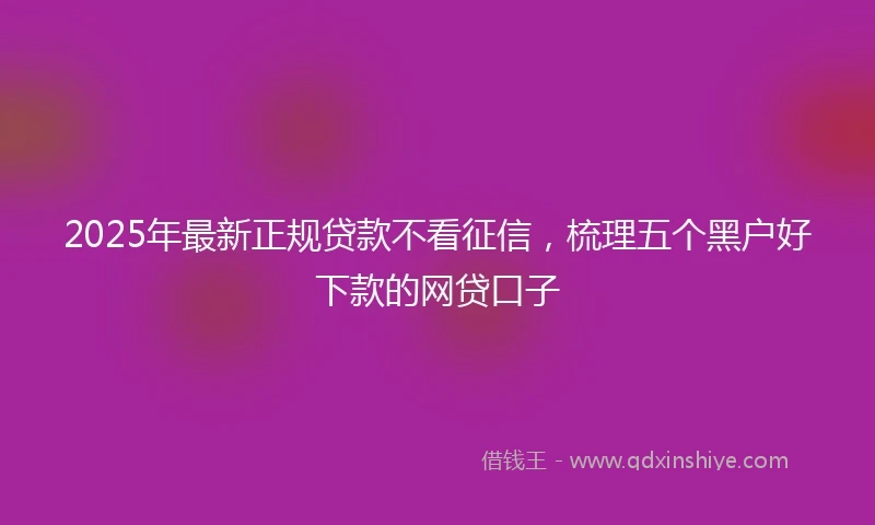 2025年最新正规贷款不看征信，梳理五个黑户好下款的网贷口子