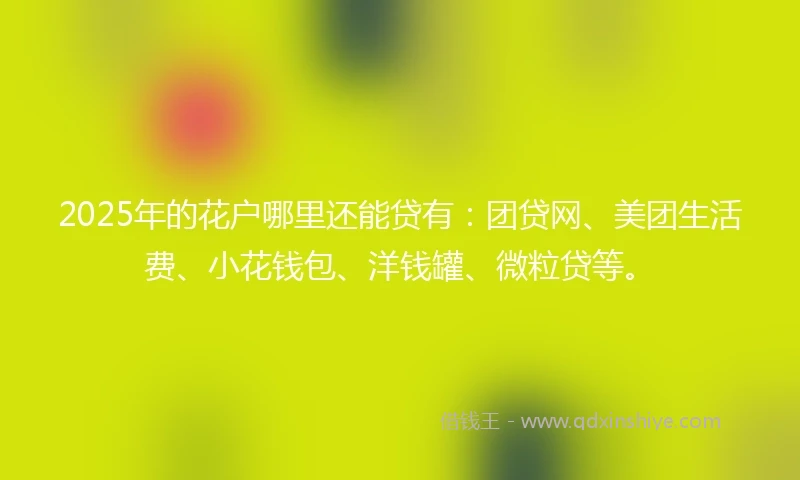 2025年的花户哪里还能贷有：团贷网、美团生活费、小花钱包、洋钱罐、微粒贷等。
