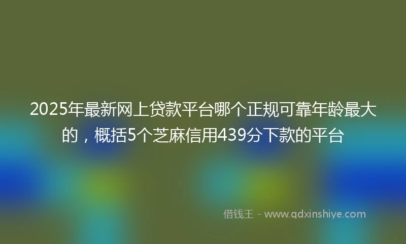 2025年最新网上贷款平台哪个正规可靠年龄最大的，概括5个芝麻信用439分下款的平台