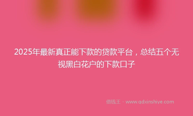 2025年最新真正能下款的贷款平台，总结五个无视黑白花户的下款口子