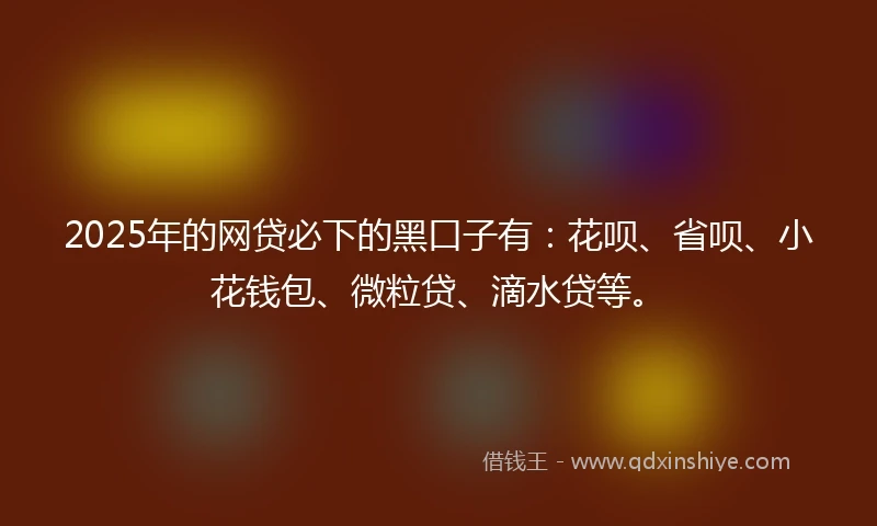 2025年的网贷必下的黑口子有：花呗、省呗、小花钱包、微粒贷、滴水贷等。