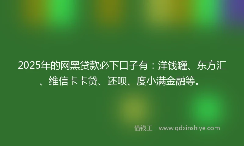 2025年的网黑贷款必下口子有：洋钱罐、东方汇、维信卡卡贷、还呗、度小满金融等。