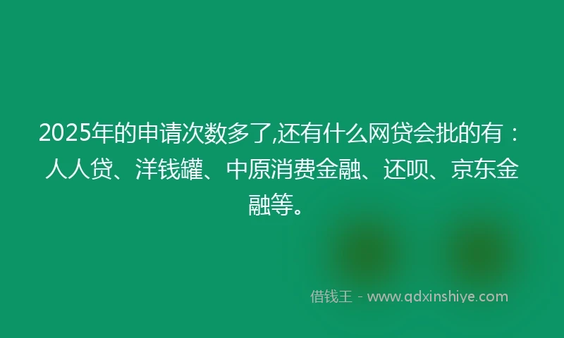 2025年的申请次数多了,还有什么网贷会批的有：人人贷、洋钱罐、中原消费金融、还呗、京东金融等。