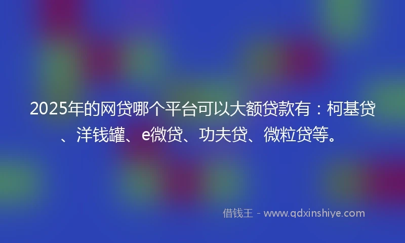2025年的网贷哪个平台可以大额贷款有:柯基贷、洋钱罐、e微贷、功夫贷、微粒贷等。