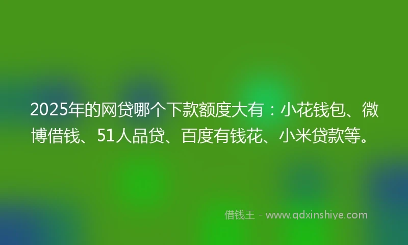 2025年的网贷哪个下款额度大有：小花钱包、微博借钱、51人品贷、百度有钱花、小米贷款等。