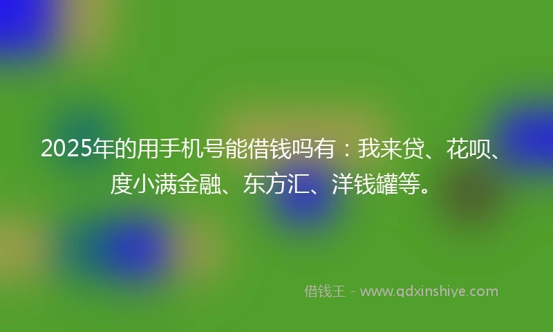 2025年的用手机号能借钱吗有：我来贷、花呗、度小满金融、东方汇、洋钱罐等。