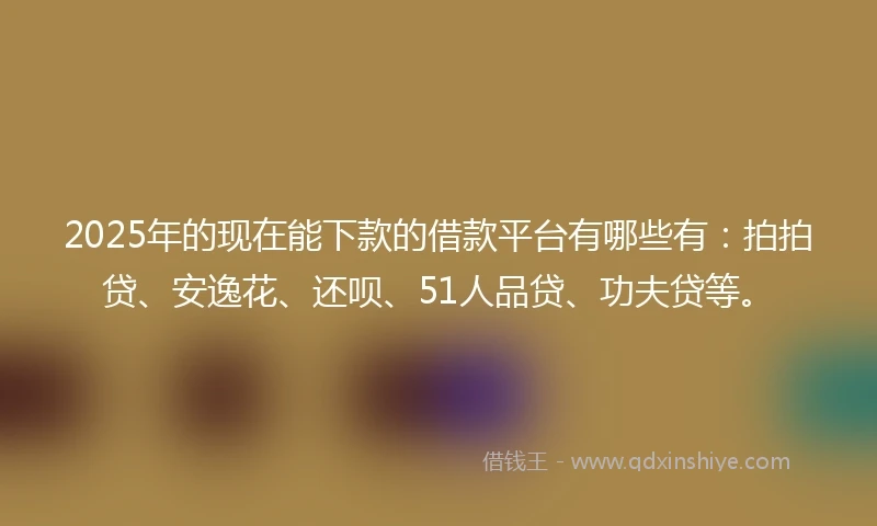 2025年的现在能下款的借款平台有哪些有：拍拍贷、安逸花、还呗、51人品贷、功夫贷等。