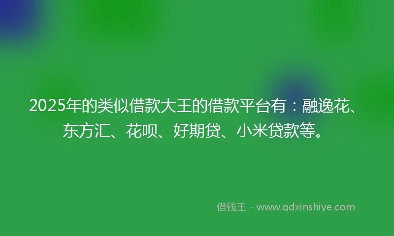 2025年的类似借款大王的借款平台有：融逸花、东方汇、花呗、好期贷、小米贷款等。