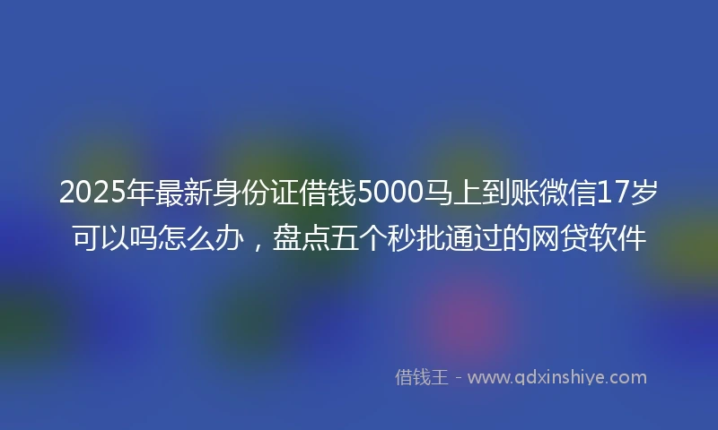 2025年最新身份证借钱5000马上到账微信17岁可以吗怎么办，盘点五个秒批通过的网贷软件