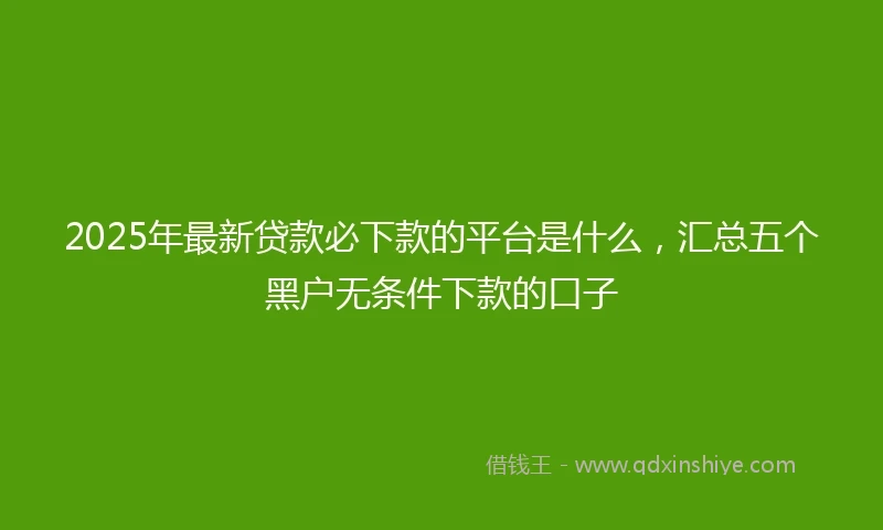 2025年最新贷款必下款的平台是什么，汇总五个黑户无条件下款的口子