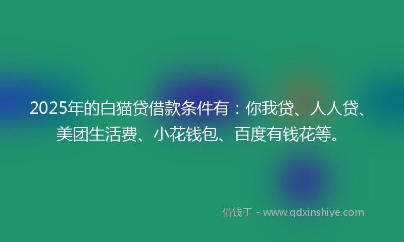 2025年的白猫贷借款条件有：你我贷、人人贷、美团生活费、小花钱包、百度有钱花等。
