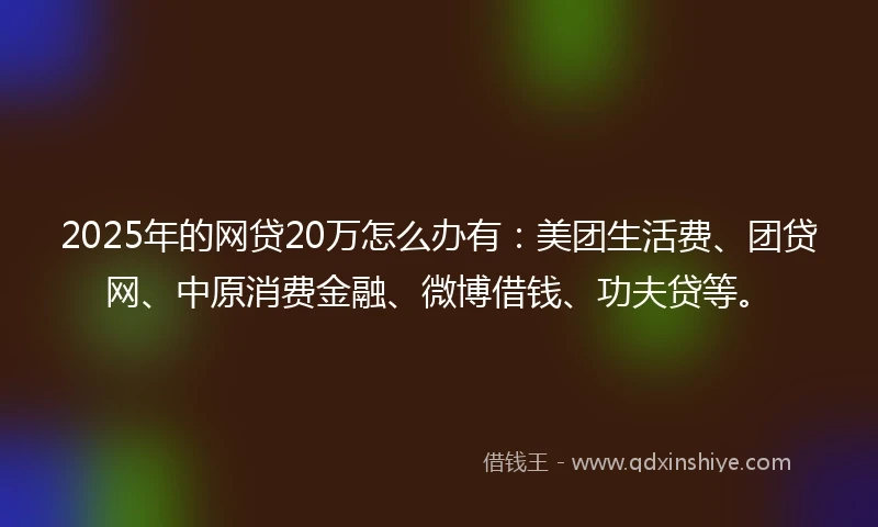 2025年的网贷20万怎么办有：美团生活费、团贷网、中原消费金融、微博借钱、功夫贷等。