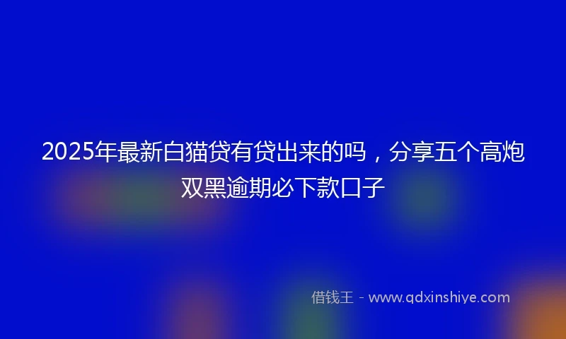 2025年最新白猫贷有贷出来的吗，分享五个高炮双黑逾期必下款口子