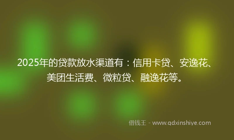 2025年的贷款放水渠道有：信用卡贷、安逸花、美团生活费、微粒贷、融逸花等。