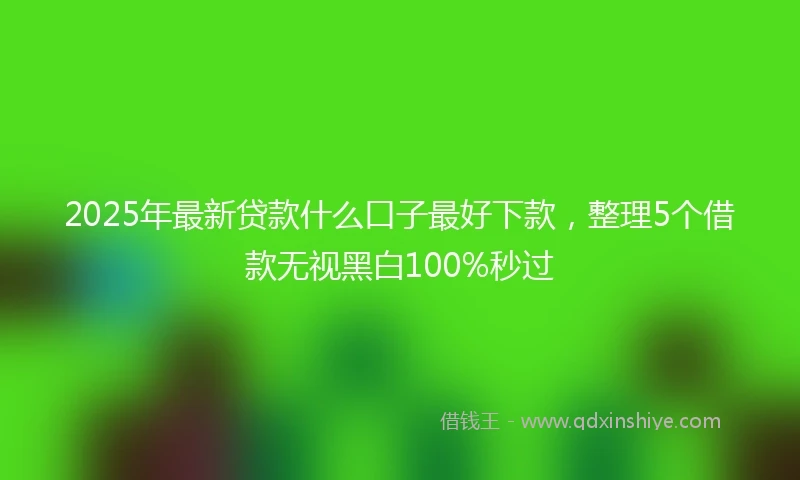 2025年最新贷款什么口子最好下款，整理5个借款无视黑白100%秒过