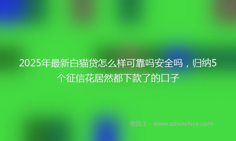 2025年最新白猫贷怎么样可靠吗安全吗，归纳5个征信花居然都下款了的口子