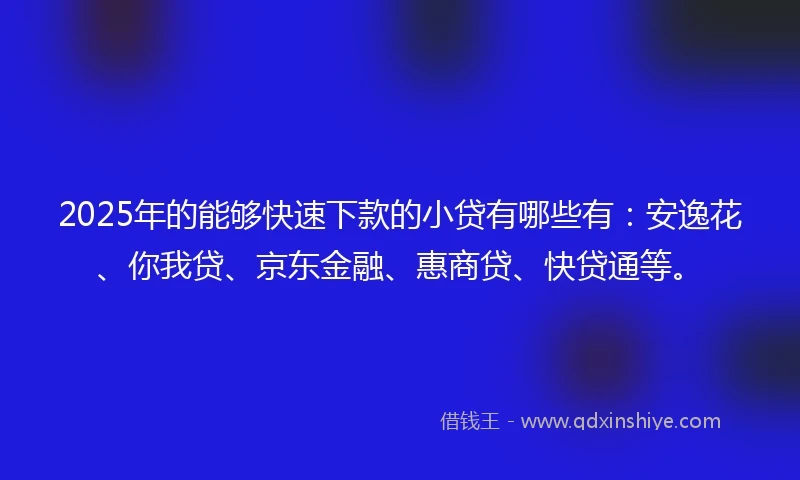 2025年的能够快速下款的小贷有哪些有：安逸花、你我贷、京东金融、惠商贷、快贷通等。