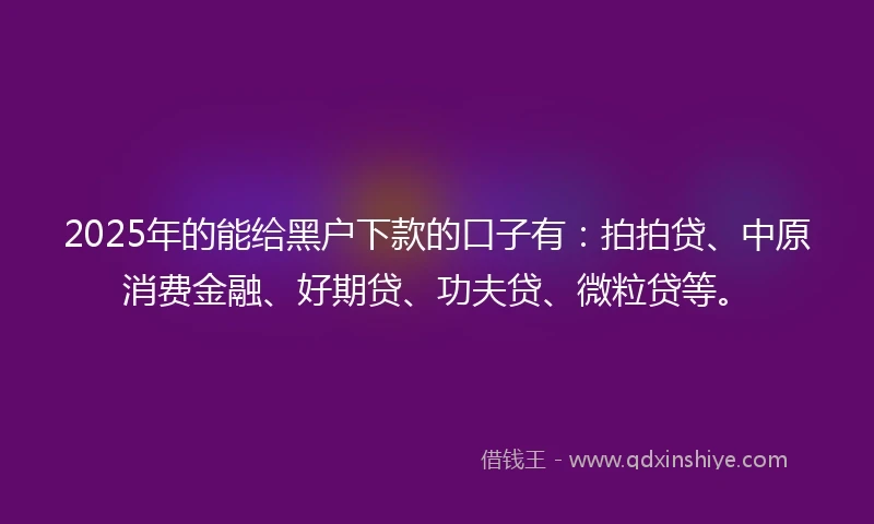 2025年的能给黑户下款的口子有:拍拍贷、中原消费金融、好期贷、功夫贷、微粒贷等。