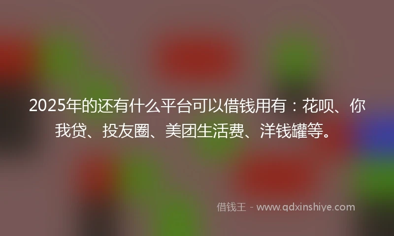 2025年的还有什么平台可以借钱用有：花呗、你我贷、投友圈、美团生活费、洋钱罐等。