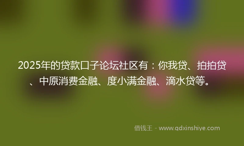 2025年的贷款口子论坛社区有：你我贷、拍拍贷、中原消费金融、度小满金融、滴水贷等。