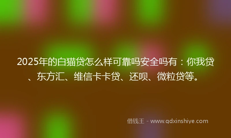 2025年的白猫贷怎么样可靠吗安全吗有：你我贷、东方汇、维信卡卡贷、还呗、微粒贷等。