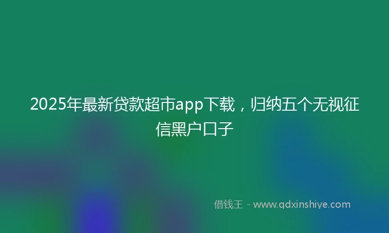 2025年最新贷款超市app下载，归纳五个无视征信黑户口子