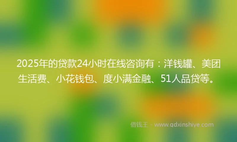 2025年的贷款24小时在线咨询有:洋钱罐、美团生活费、小花钱包、度小满金融、51人品贷等。
