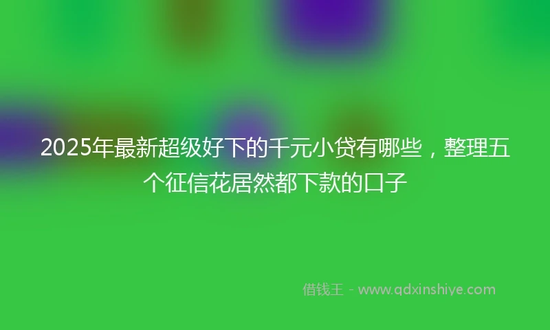 2025年最新超级好下的千元小贷有哪些，整理五个征信花居然都下款的口子