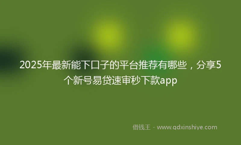 2025年最新能下口子的平台推荐有哪些，分享5个新号易贷速审秒下款app