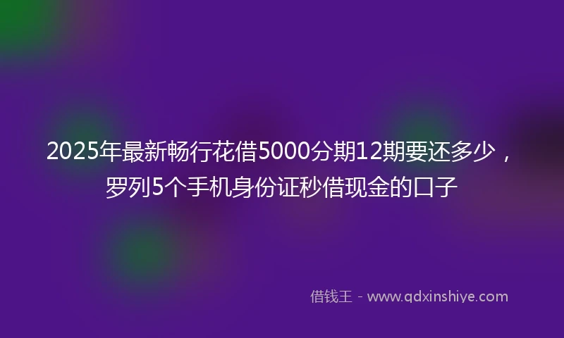 2025年最新畅行花借5000分期12期要还多少，罗列5个手机身份证秒借现金的口子