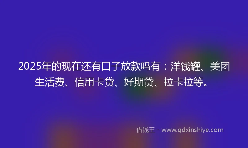2025年的现在还有口子放款吗有：洋钱罐、美团生活费、信用卡贷、好期贷、拉卡拉等。