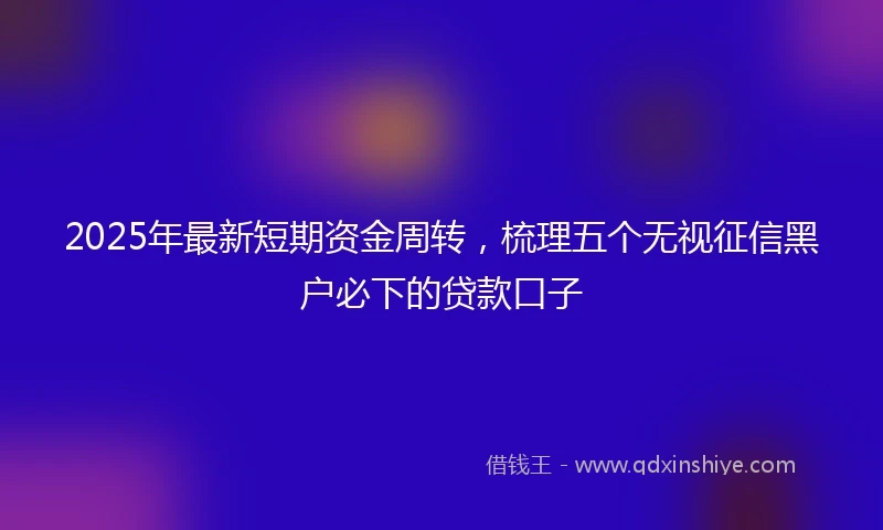 2025年最新短期资金周转，梳理五个无视征信黑户必下的贷款口子