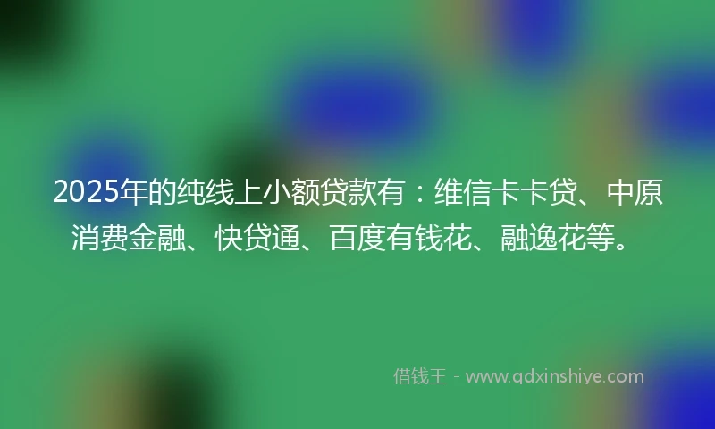 2025年的纯线上小额贷款有：维信卡卡贷、中原消费金融、快贷通、百度有钱花、融逸花等。
