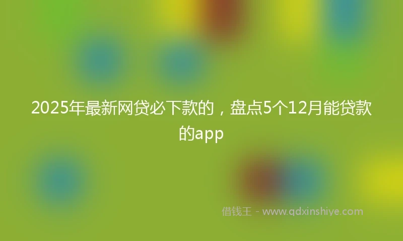 2025年最新网贷必下款的，盘点5个12月能贷款的app