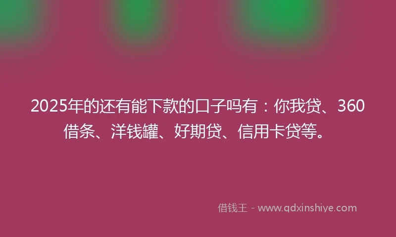2025年的还有能下款的口子吗有：你我贷、360借条、洋钱罐、好期贷、信用卡贷等。