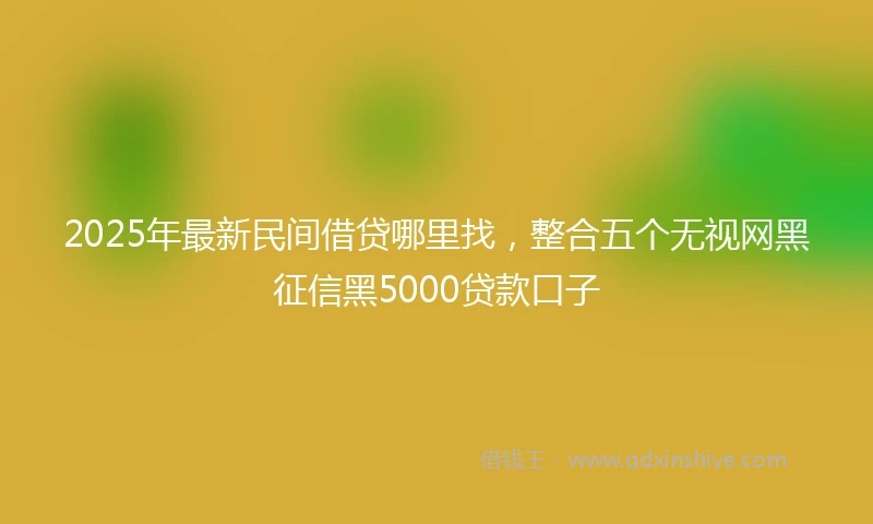 2025年最新民间借贷哪里找，整合五个无视网黑征信黑5000贷款口子