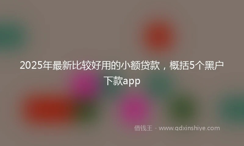 2025年最新比较好用的小额贷款，概括5个黑户下款app