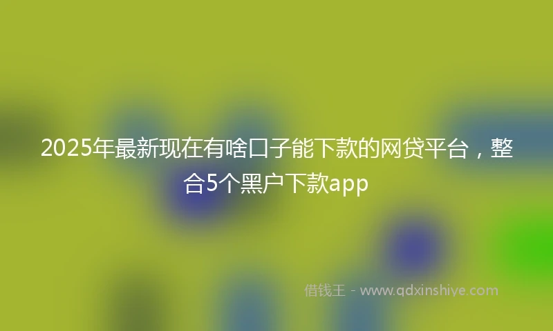 2025年最新现在有啥口子能下款的网贷平台，整合5个黑户下款app