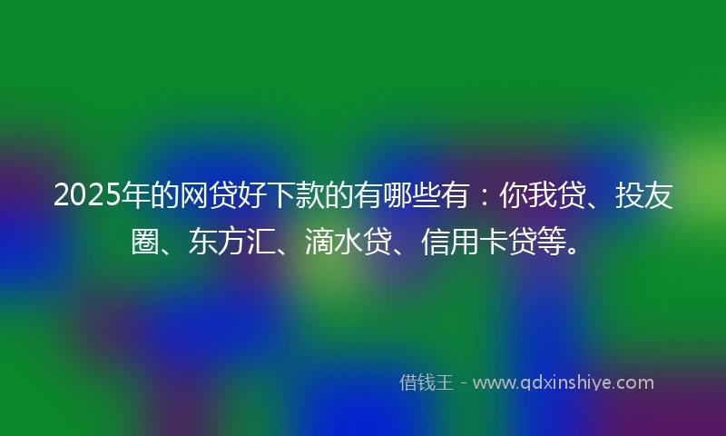 2025年的网贷好下款的有哪些有：你我贷、投友圈、东方汇、滴水贷、信用卡贷等。